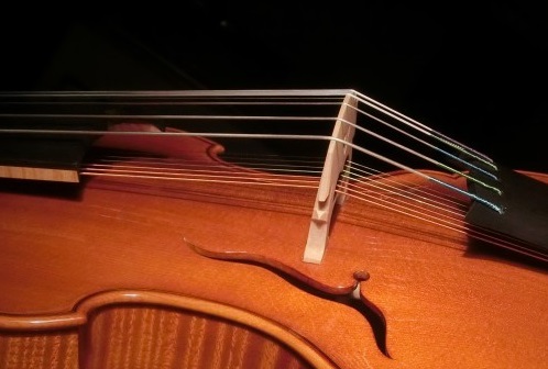 ビオラ・ダモーレ | バイオリン、痛みを克服する